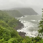 10 Things to Do & Unique Experiences in South Goa During the Rainy Season