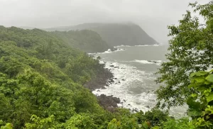 10 Things to Do & Unique Experiences in South Goa During the Rainy Season