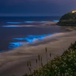 Where to Stay Near Betalbatim Beach: A South Goa Guide for Slower, Easier Holidays
