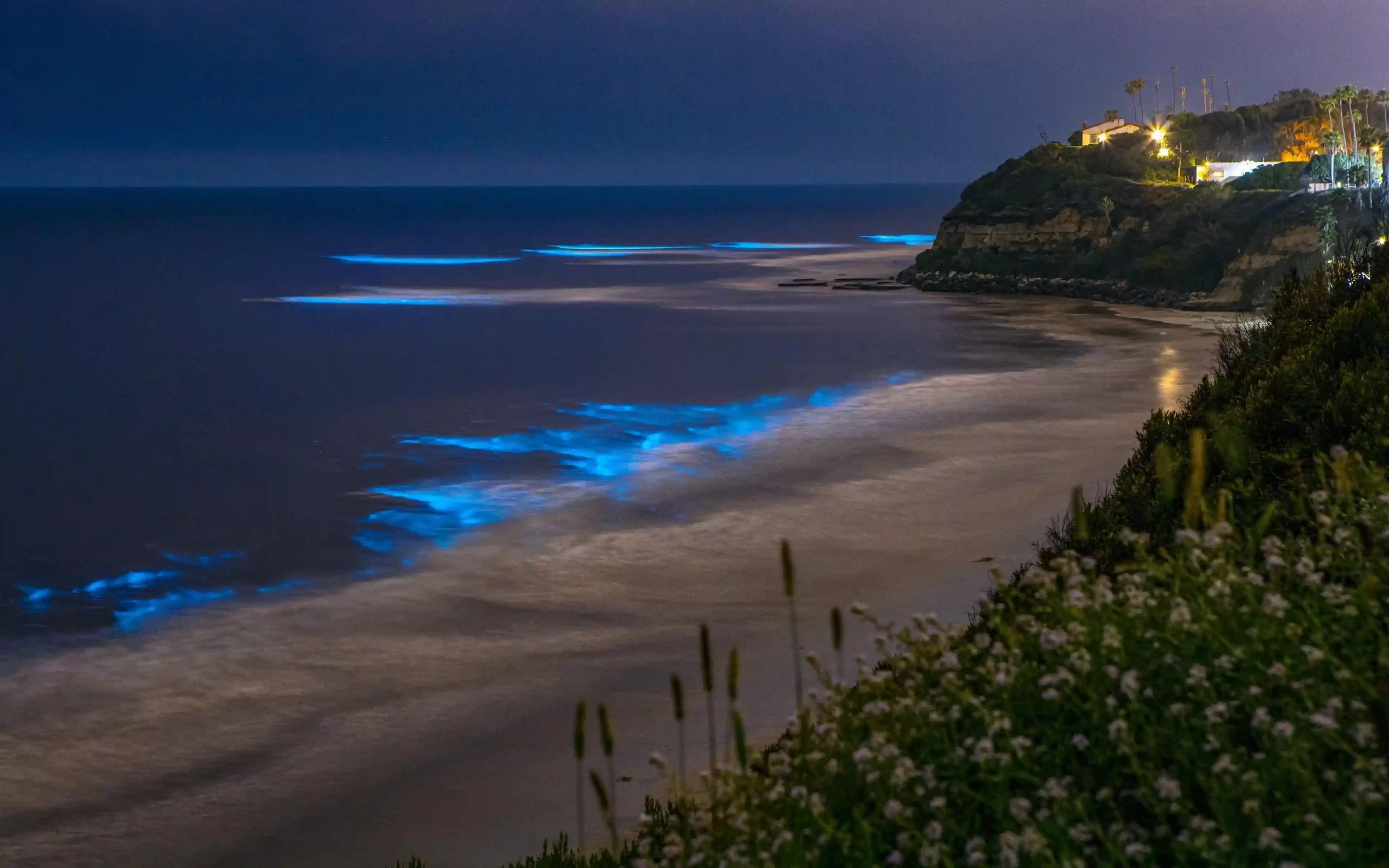 Bioluminescence occurring along the shoreline of Betalbatim Beach in South Goa